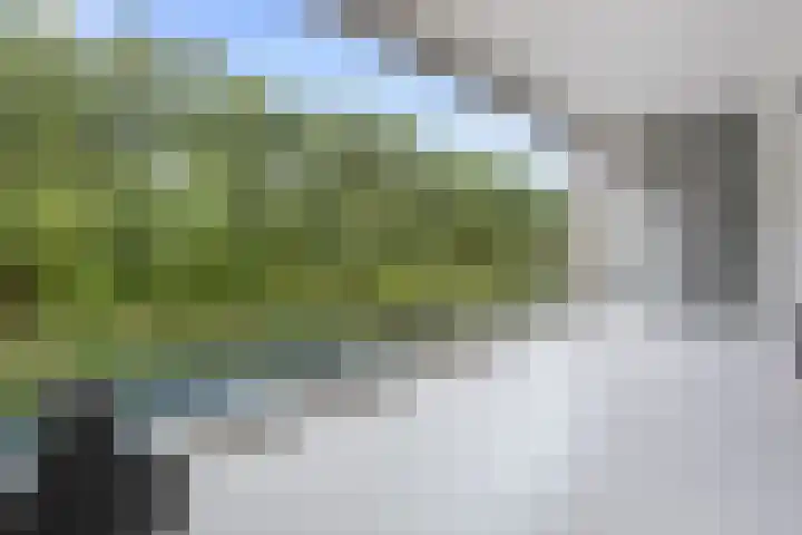 Hofje van Gratie 18 Krimpen aan den IJssel thumbnail 37