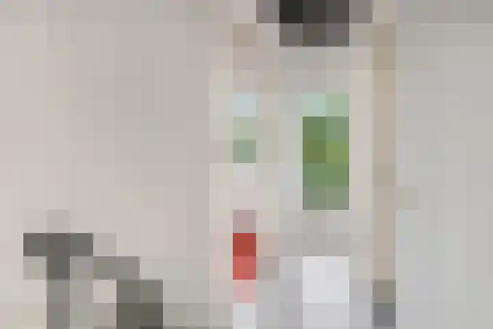 Hofje van Gratie 18 Krimpen aan den IJssel thumbnail 43