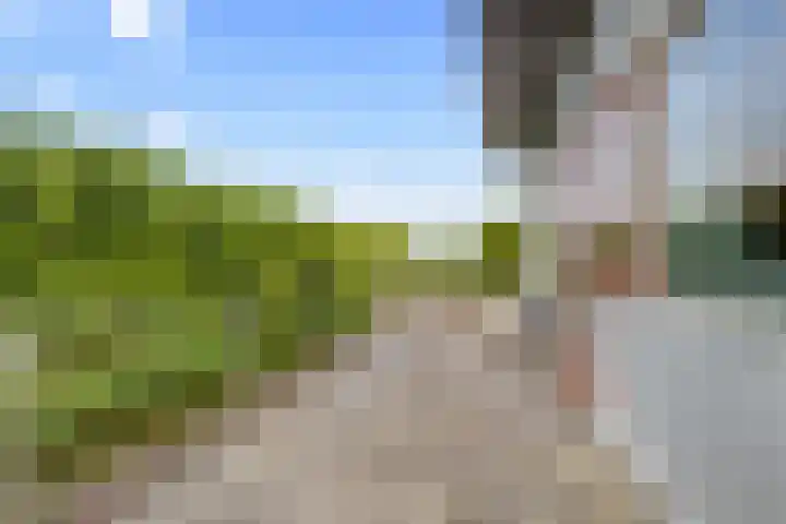 Hofje van Gratie 18 Krimpen aan den IJssel thumbnail 44