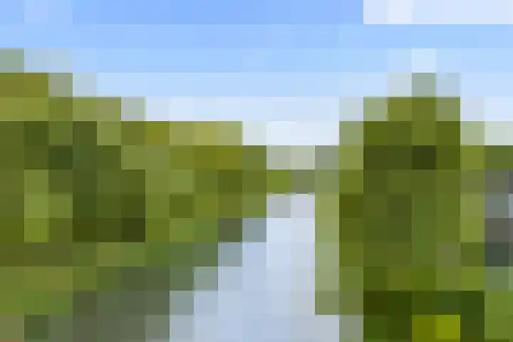 Hofje van Gratie 18 Krimpen aan den IJssel thumbnail 45