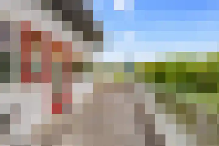 Hofje van Gratie 18 Krimpen aan den IJssel thumbnail 46