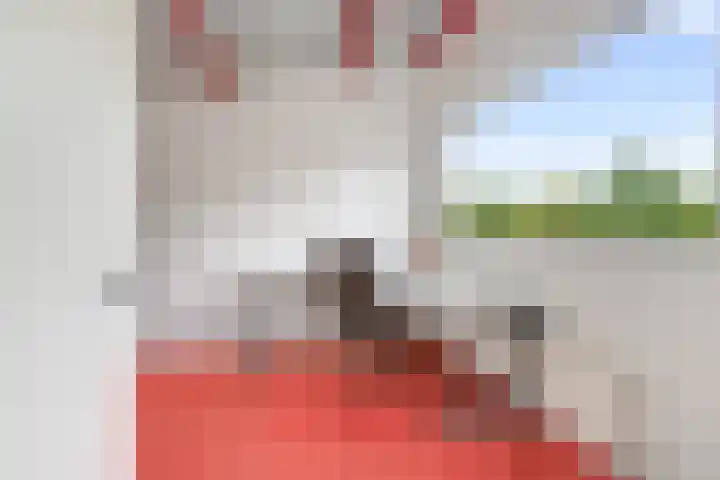Hofje van Gratie 18 Krimpen aan den IJssel thumbnail 47