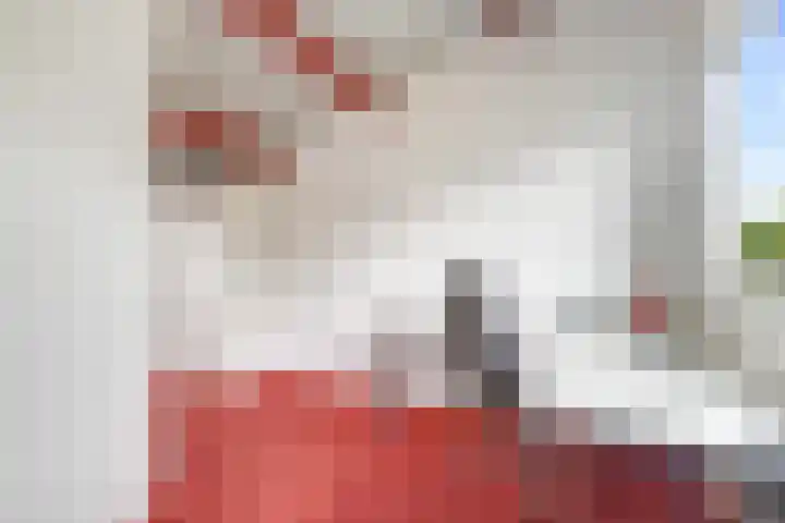 Hofje van Gratie 18 Krimpen aan den IJssel thumbnail 48