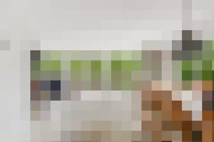 Hofje van Gratie 18 Krimpen aan den IJssel thumbnail 5