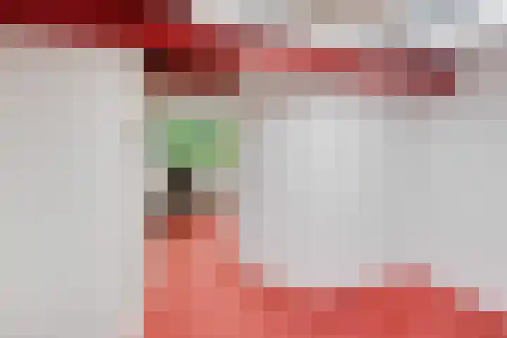 Hofje van Gratie 18 Krimpen aan den IJssel thumbnail 50