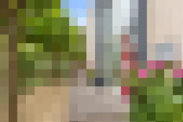 Hofje van Gratie 18 Krimpen aan den IJssel thumbnail 55
