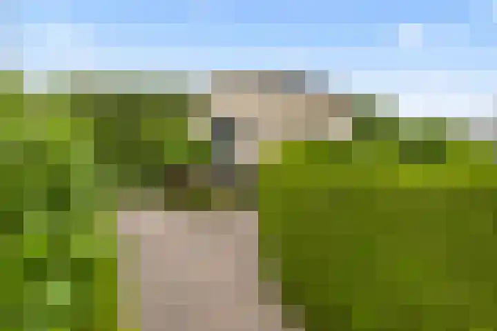 Hofje van Gratie 18 Krimpen aan den IJssel thumbnail 57