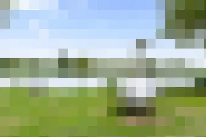 Hofje van Gratie 18 Krimpen aan den IJssel thumbnail 58