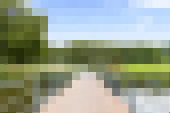 Hofje van Gratie 18 Krimpen aan den IJssel thumbnail 59