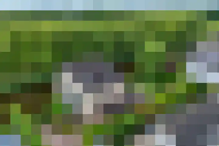 Hofje van Gratie 18 Krimpen aan den IJssel thumbnail 62