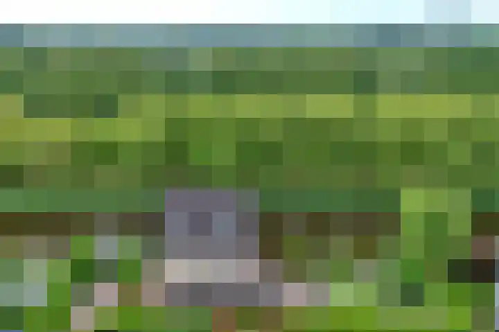Hofje van Gratie 18 Krimpen aan den IJssel thumbnail 63