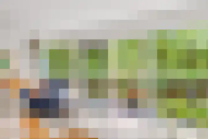 Hofje van Gratie 18 Krimpen aan den IJssel thumbnail 9