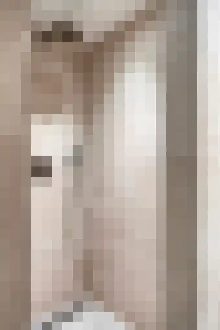 Hofje van Gratie 3 Krimpen aan den IJssel thumbnail 17