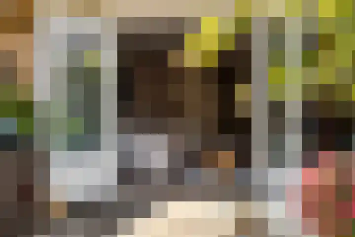 Hofje van Gratie 3 Krimpen aan den IJssel thumbnail 25
