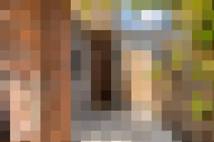 Hofje van Gratie 3 Krimpen aan den IJssel thumbnail 28