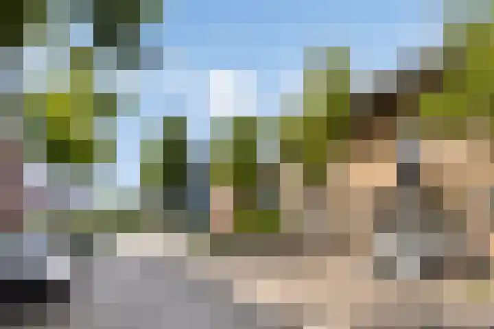 Hofje van Gratie 3 Krimpen aan den IJssel thumbnail 30