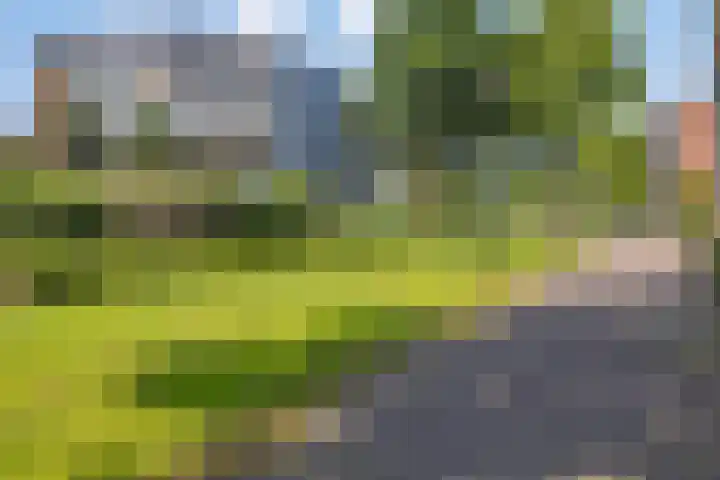 Hofje van Gratie 3 Krimpen aan den IJssel thumbnail 32