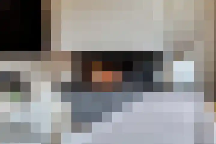 Hofje van Gratie 3 Krimpen aan den IJssel thumbnail 4