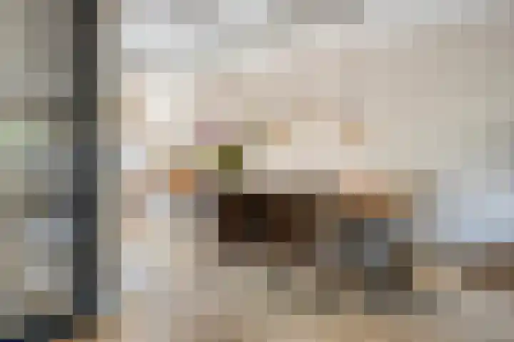 Hofje van Gratie 3 Krimpen aan den IJssel thumbnail 6