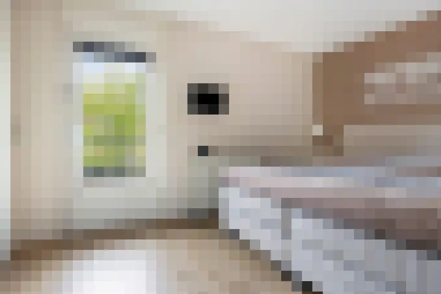 Hofje van Gratie 6 Krimpen aan den IJssel thumbnail 17