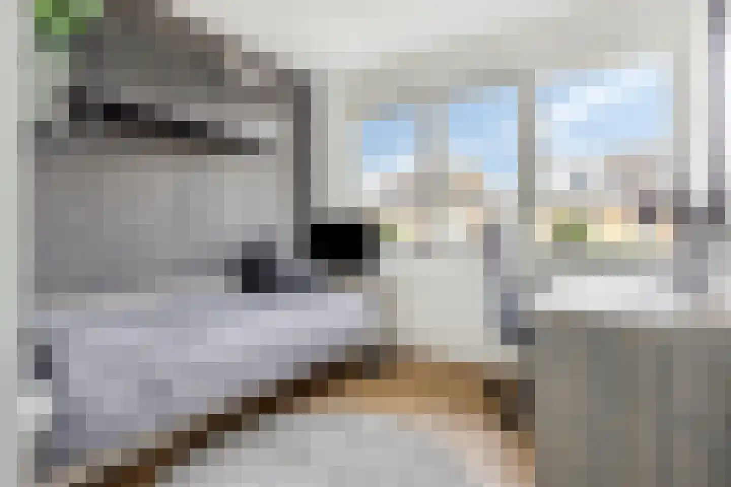 Hofje van Gratie 6 Krimpen aan den IJssel thumbnail 20