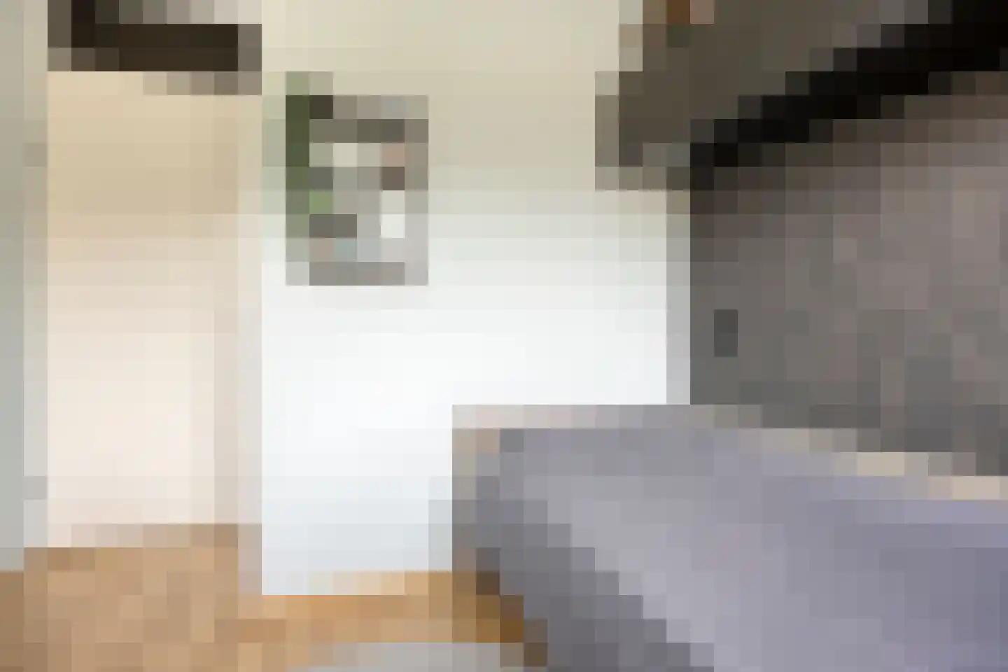 Hofje van Gratie 6 Krimpen aan den IJssel thumbnail 21