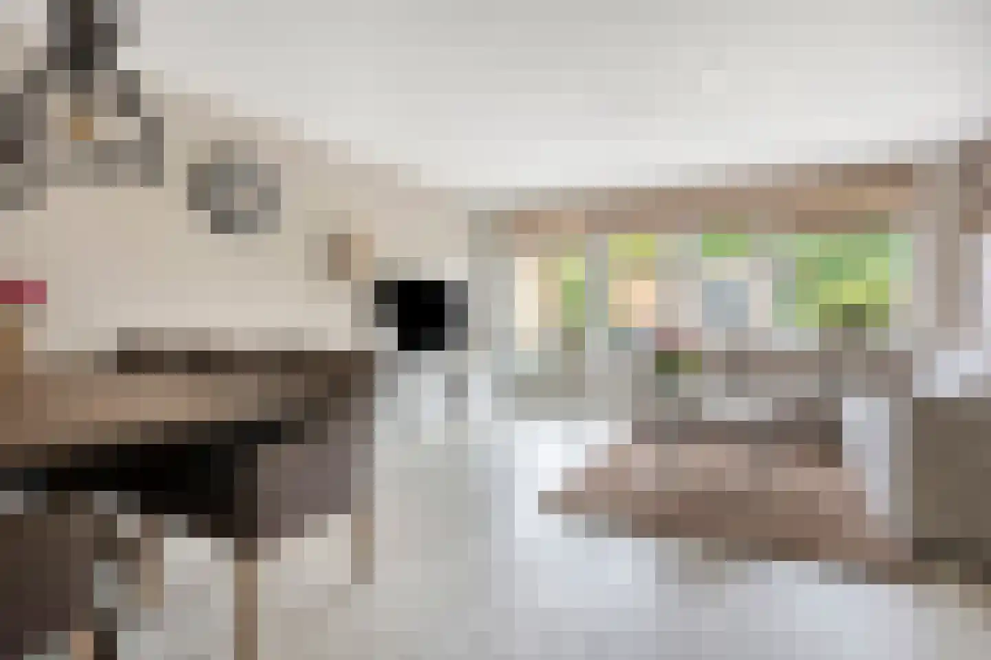 Hofje van Gratie 6 Krimpen aan den IJssel foto 3