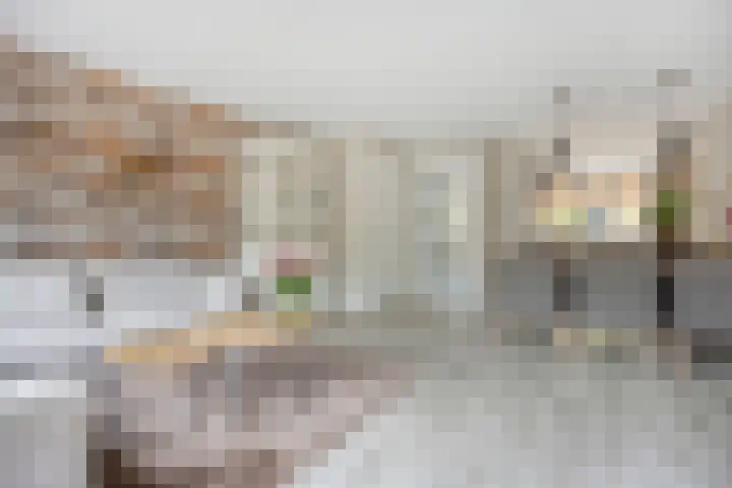 Hofje van Gratie 6 Krimpen aan den IJssel thumbnail 6