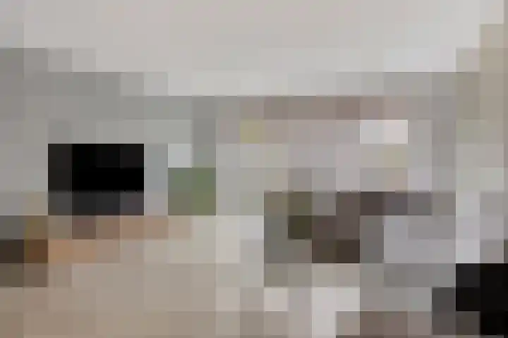 Hofje van Holtlant 30 Leiderdorp thumbnail 10
