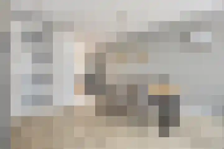 Hofje van Holtlant 30 Leiderdorp thumbnail 11