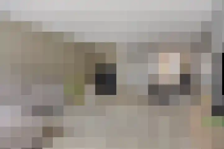 Hofje van Holtlant 30 Leiderdorp thumbnail 12