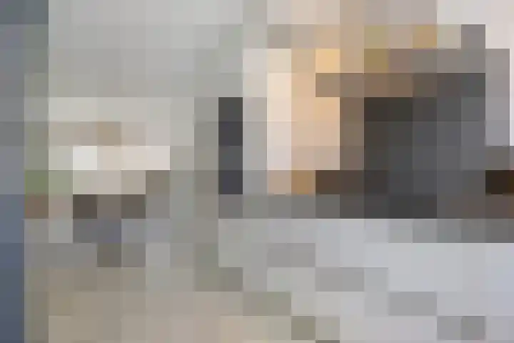 Hofje van Holtlant 30 Leiderdorp thumbnail 14