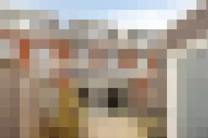 Hofje van Holtlant 30 Leiderdorp thumbnail 16
