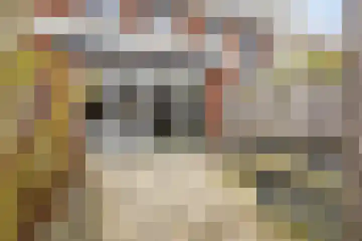Hofje van Holtlant 30 Leiderdorp thumbnail 17