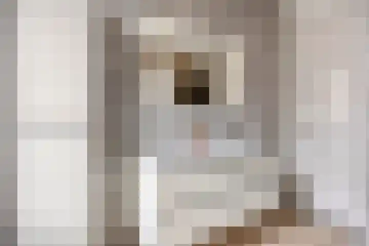 Hofje van Holtlant 30 Leiderdorp thumbnail 25