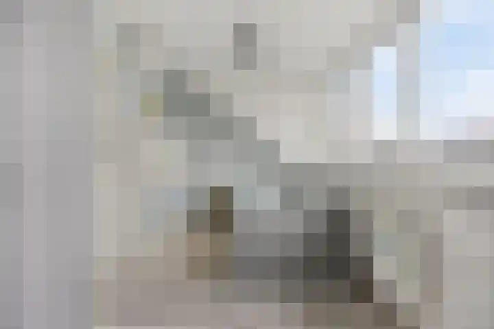 Hofje van Holtlant 30 Leiderdorp thumbnail 31
