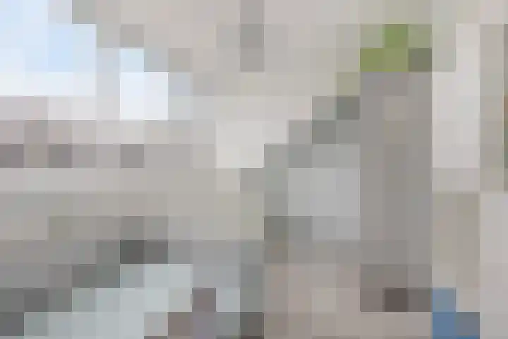 Hofje van Holtlant 30 Leiderdorp thumbnail 32