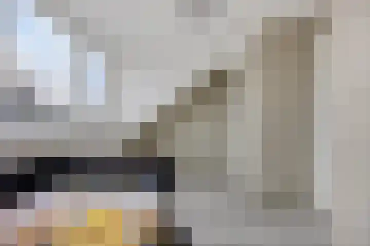 Hofje van Holtlant 30 Leiderdorp thumbnail 34