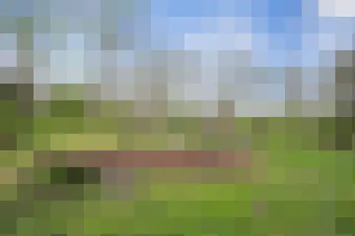 Hofje van Holtlant 30 Leiderdorp thumbnail 38