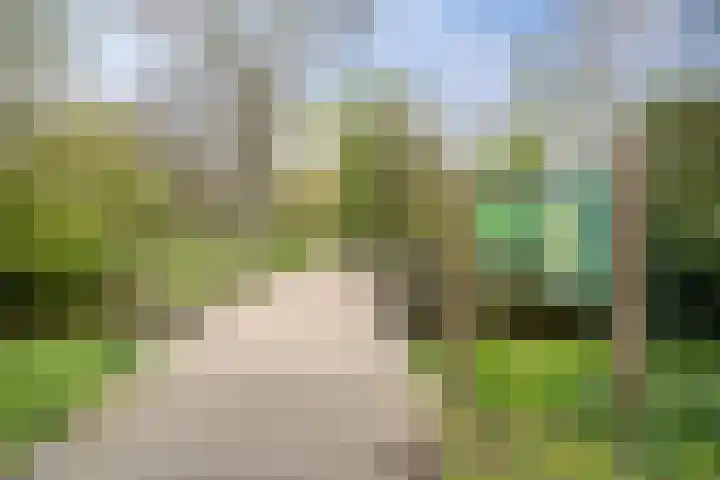 Hofje van Holtlant 30 Leiderdorp thumbnail 39