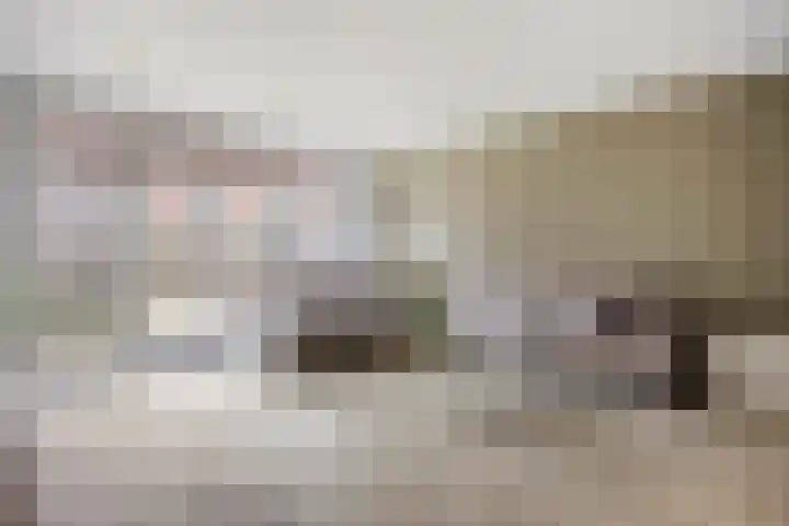 Hofje van Holtlant 30 Leiderdorp thumbnail 8