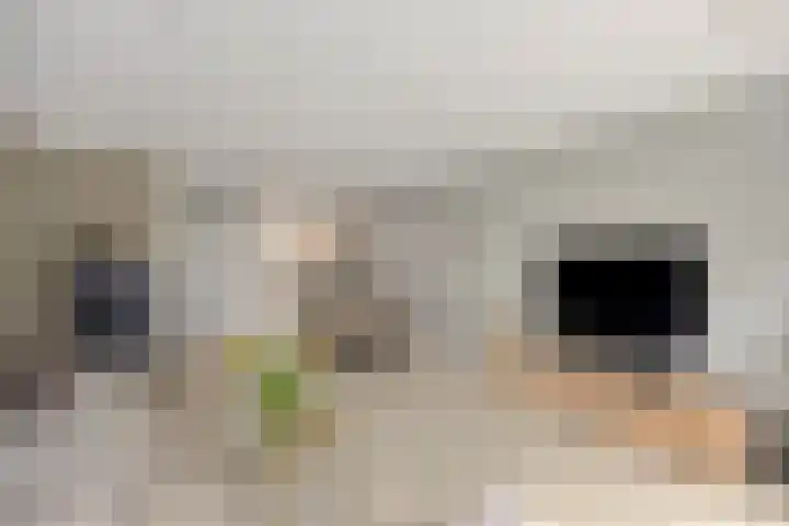 Hofje van Holtlant 30 Leiderdorp thumbnail 9
