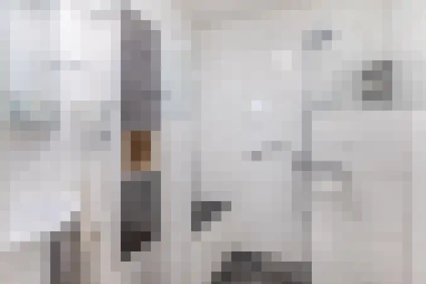 Hofje van Loo 13 Krimpen aan den IJssel thumbnail 29