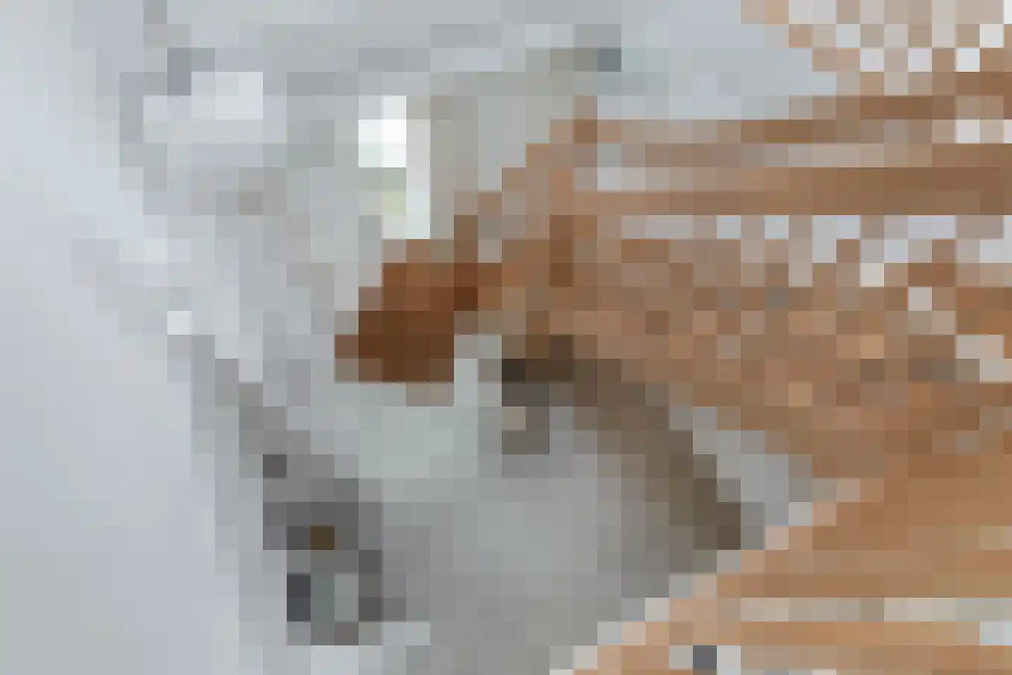 Hofje van Loo 13 Krimpen aan den IJssel thumbnail 33