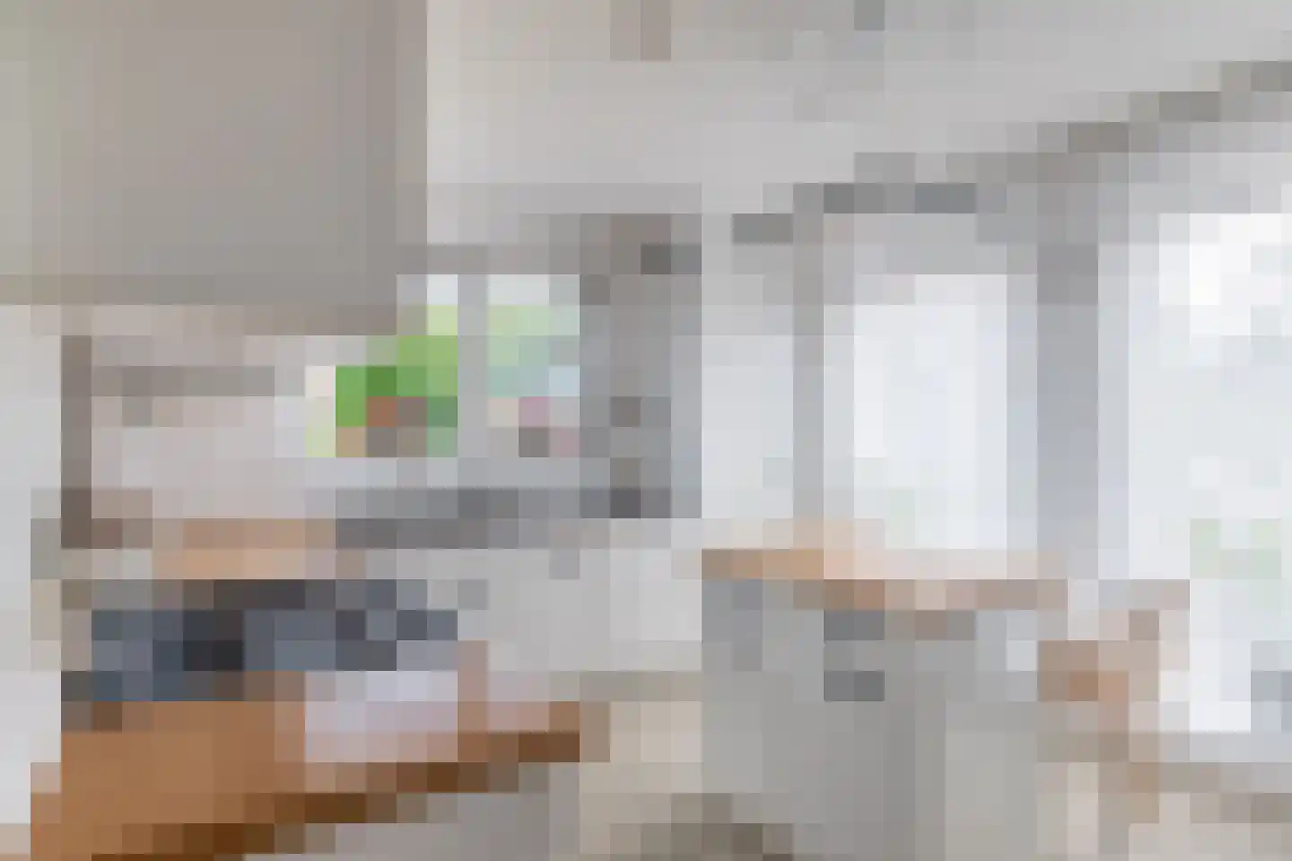 Hofje van Loo 13 Krimpen aan den IJssel thumbnail 5
