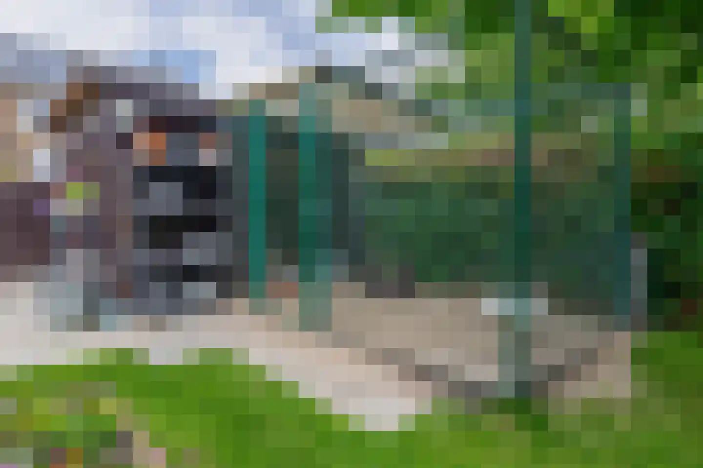 Hofje van Loo 13 Krimpen aan den IJssel thumbnail 52