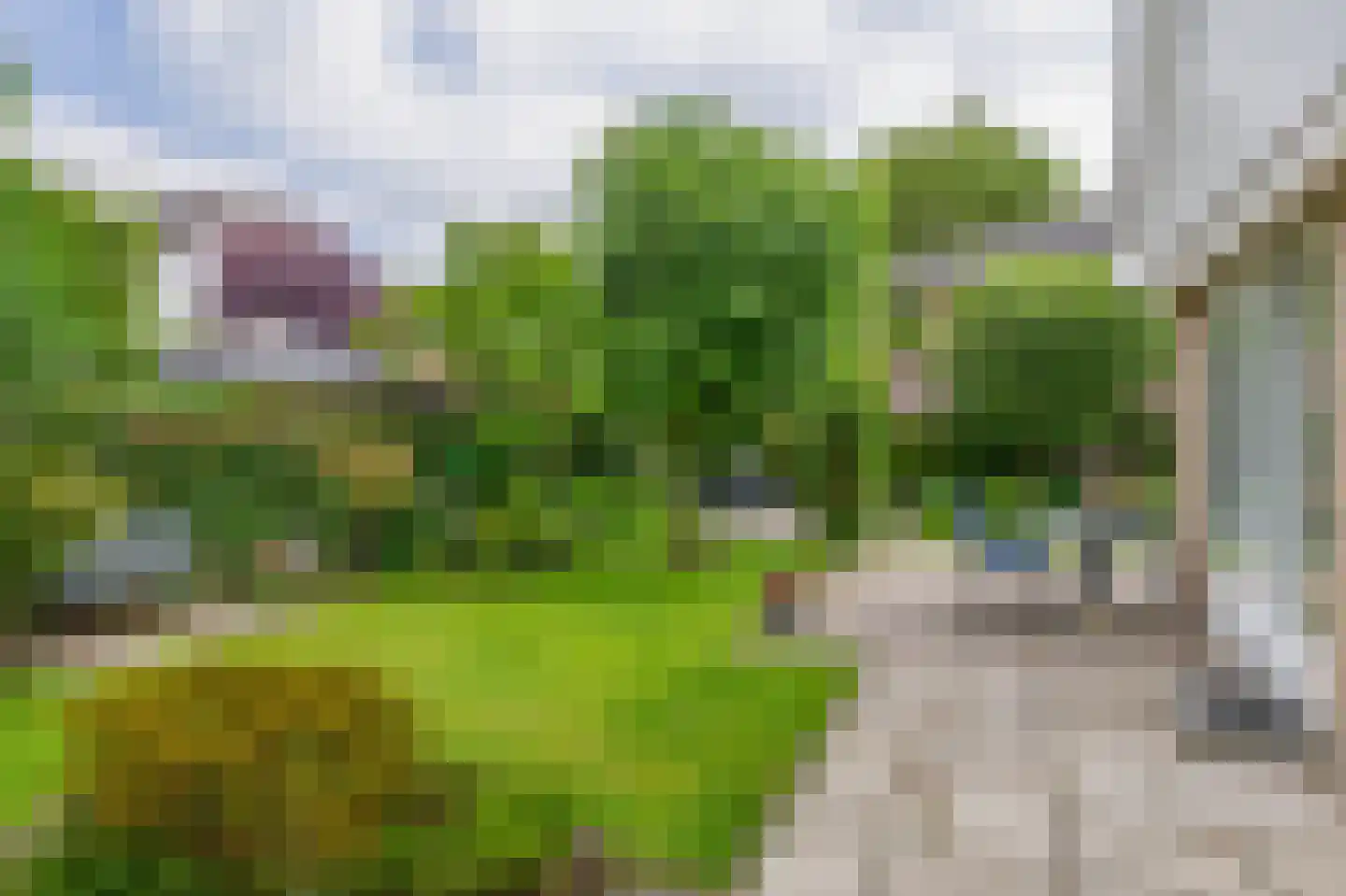 Hofje van Loo 13 Krimpen aan den IJssel thumbnail 54
