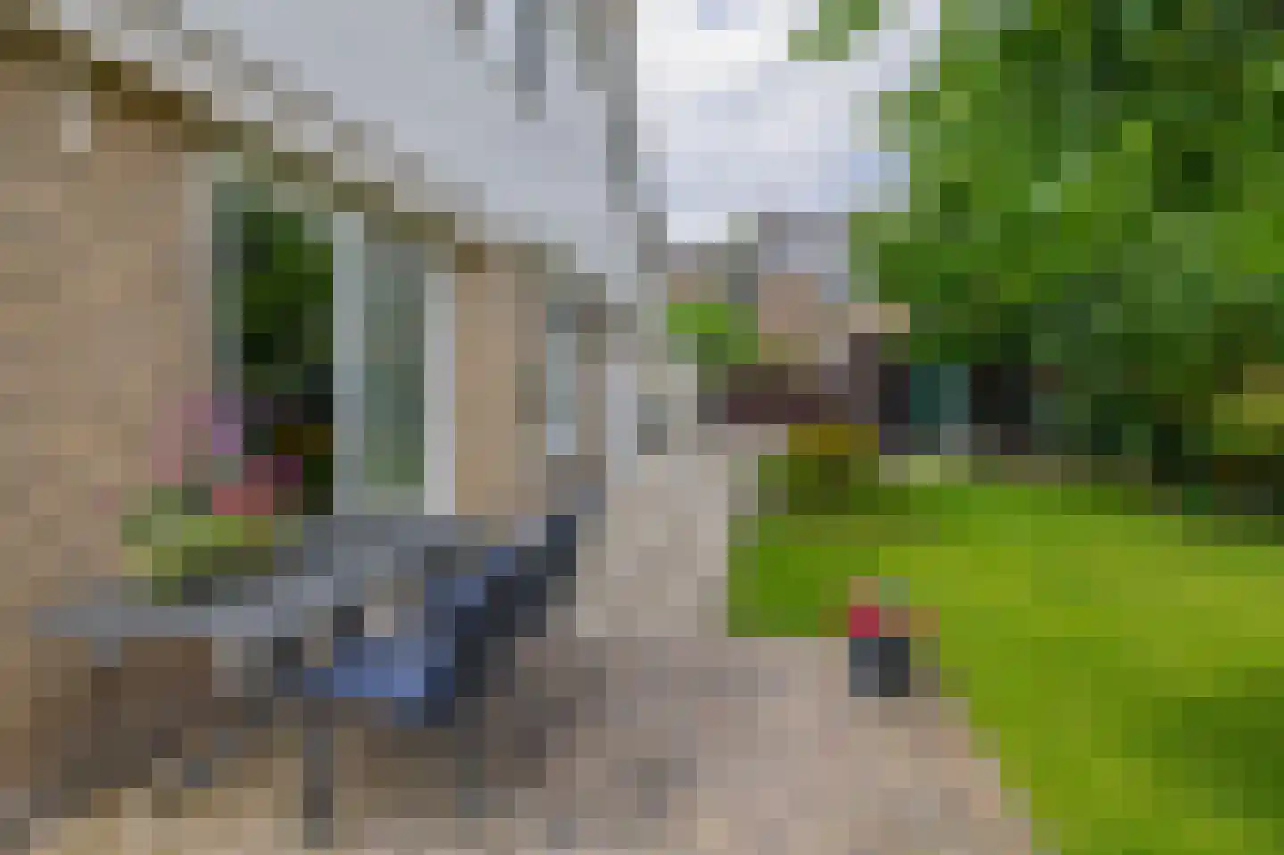 Hofje van Loo 13 Krimpen aan den IJssel thumbnail 55