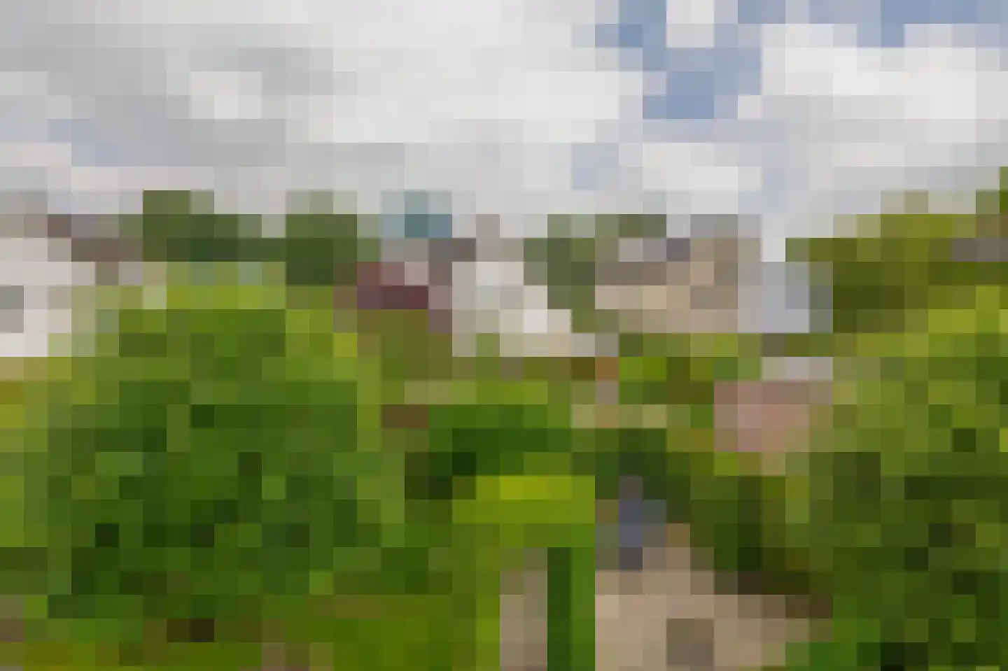 Hofje van Loo 13 Krimpen aan den IJssel thumbnail 57