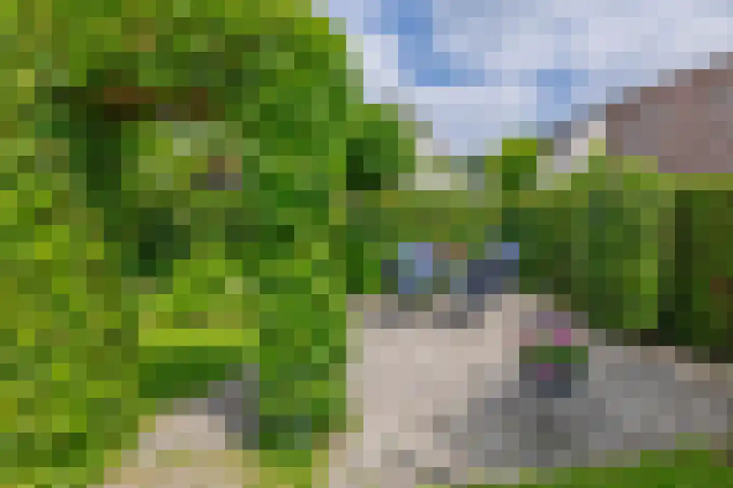 Hofje van Loo 13 Krimpen aan den IJssel thumbnail 58